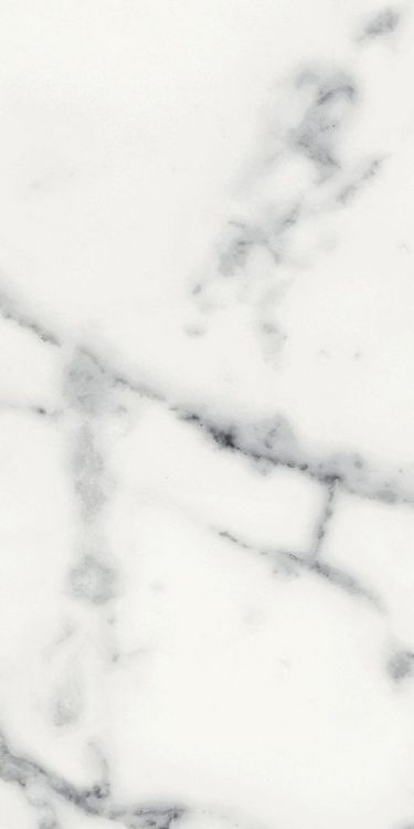 Origines Blanc Matte 12 x 24