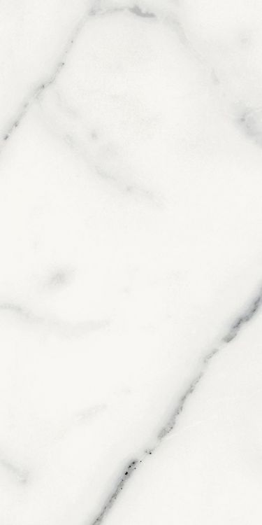 Origines Blanc Matte 12 x 24