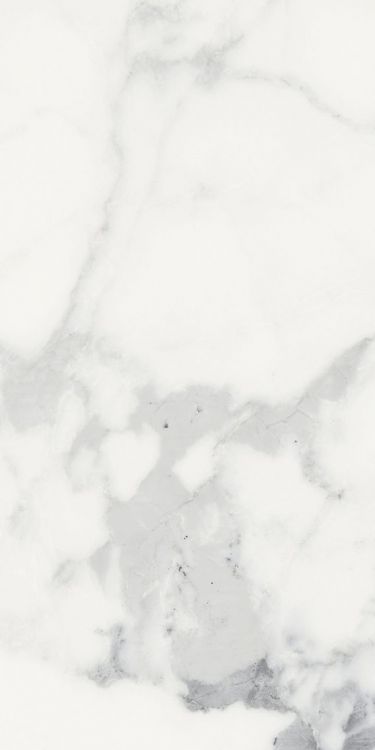 Origines Blanc Matte 12 x 24