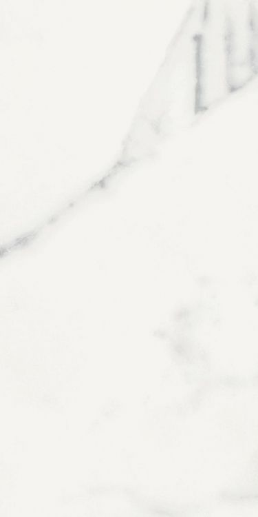 Origines Blanc Matte 12 x 24