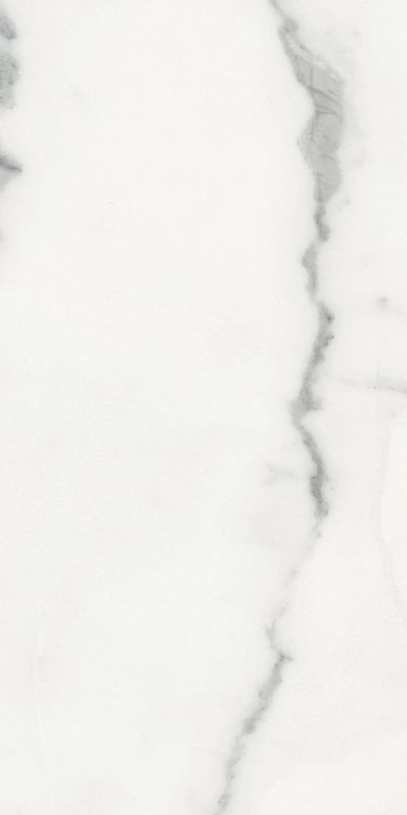Origines Blanc Matte 12 x 24
