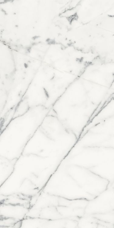 Origines Blanc Matte 24 x 48