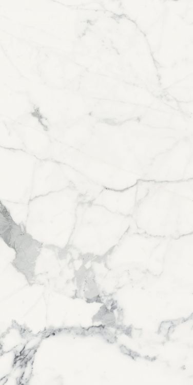 Origines Blanc Matte 24 x 48