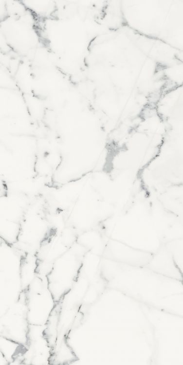 Origines Blanc Matte 24 x 48 Origines Blanc Matte 24 x 48