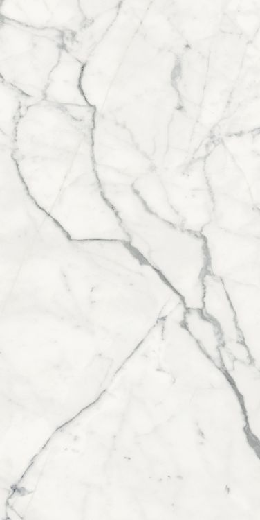 Origines Blanc Matte 24 x 48