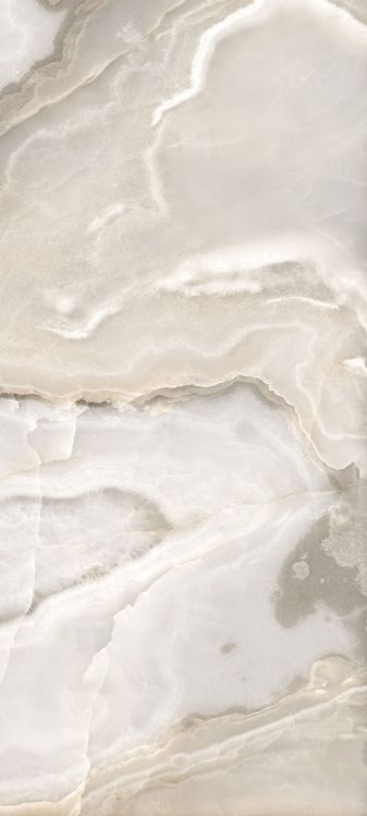 Reves Noisette Matte 32 x 71