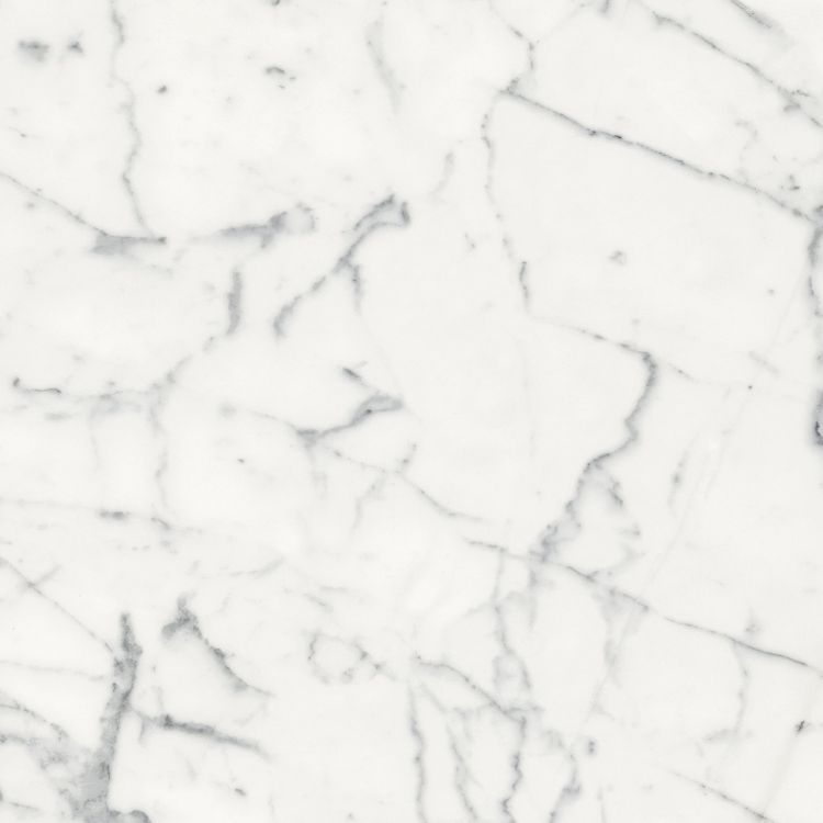 Origines Blanc Matte 24 x 24
