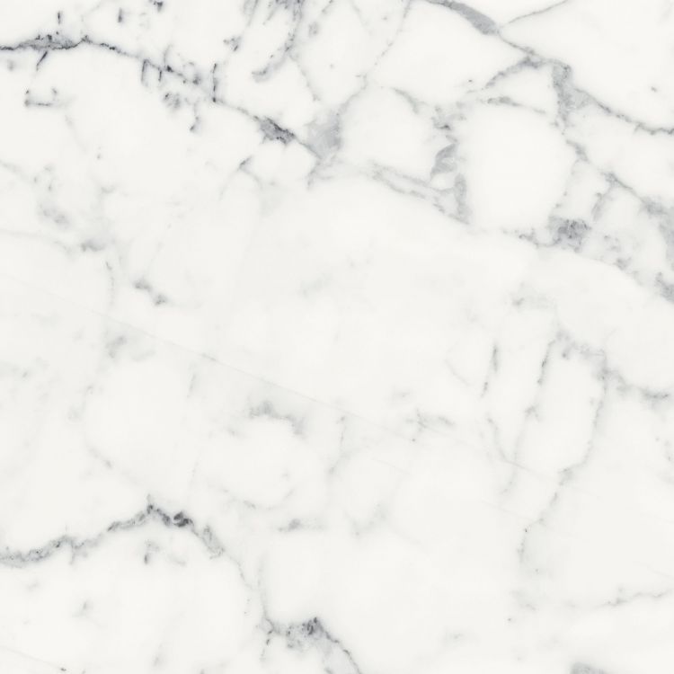 Origines Blanc Matte 24 x 24