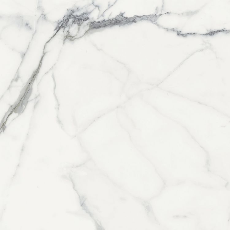 Origines Blanc Matte 24 x 24