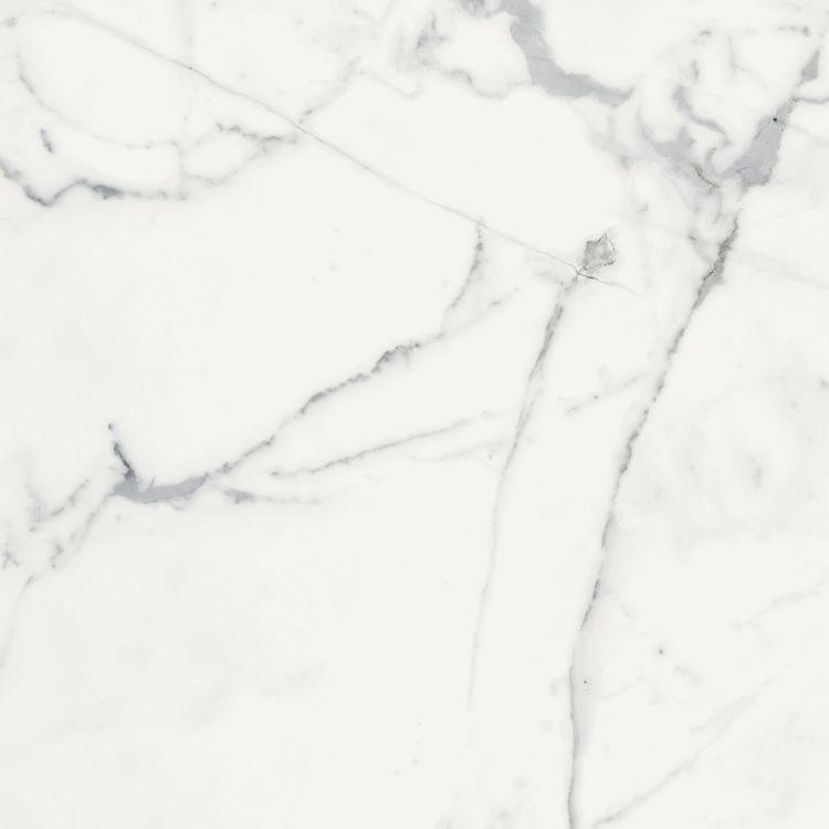Origines Blanc Matte 24 x 24