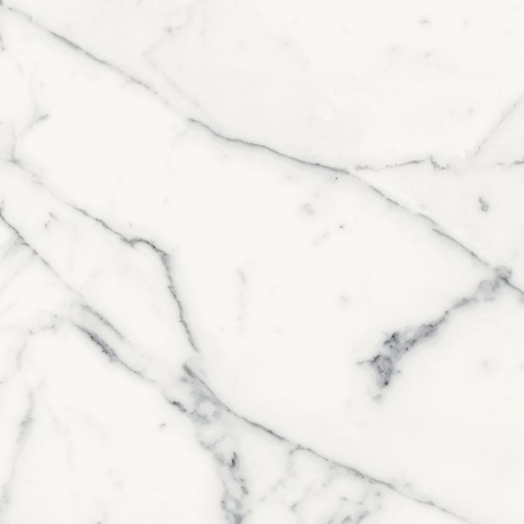 Origines Blanc Matte 24 x 24