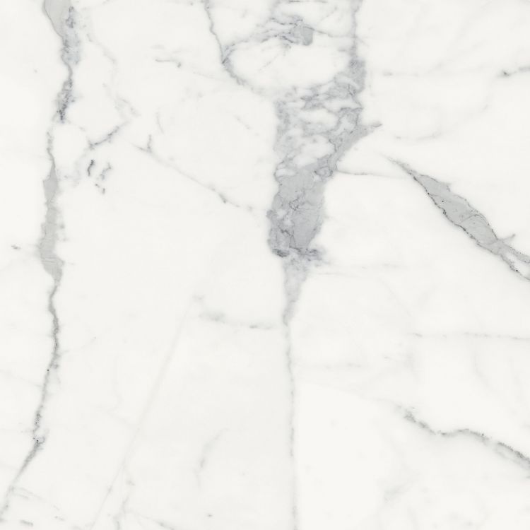 Origines Blanc Matte 24 x 24