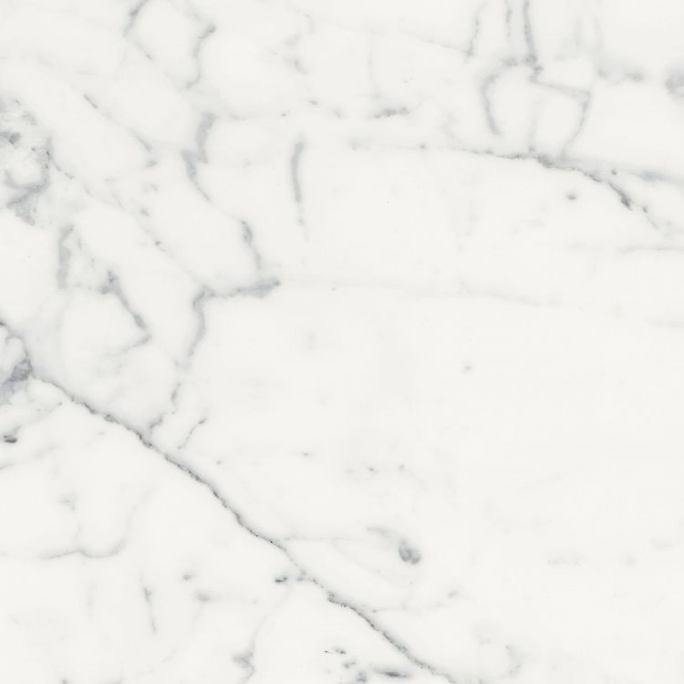 Origines Blanc Matte 24 x 24