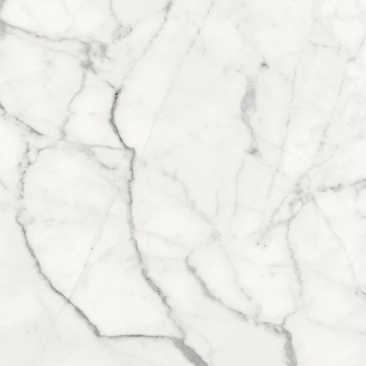 Origines Blanc Matte 24 x 24