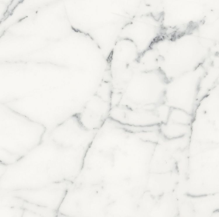 Origines Blanc Matte 24 x 24