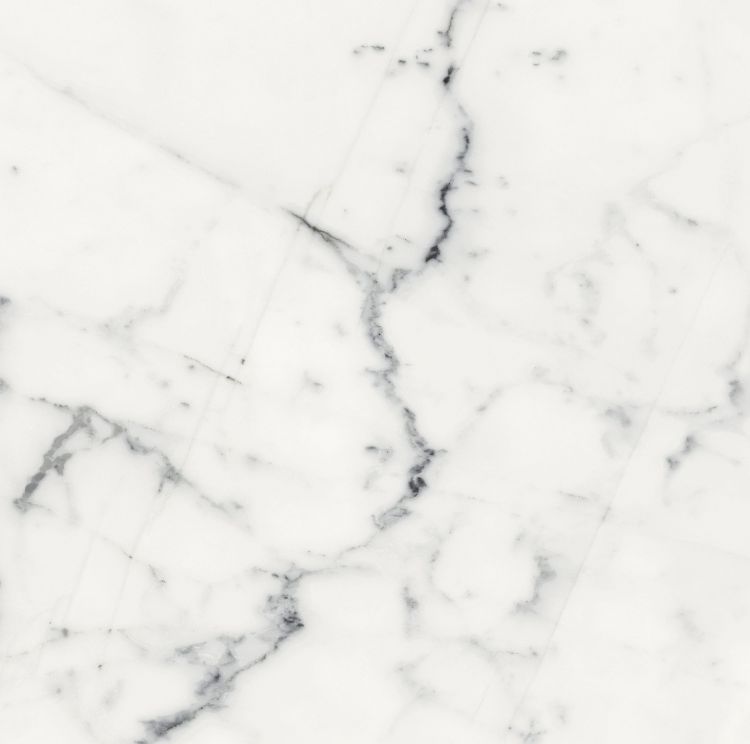 Origines Blanc Matte 24 x 24