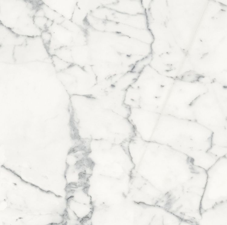Origines Blanc Matte 24 x 24