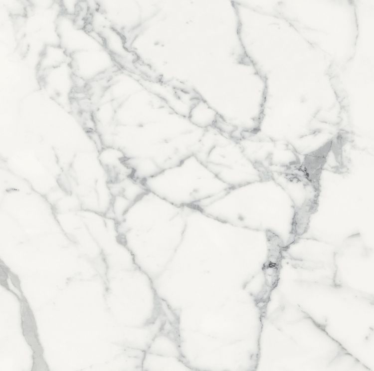 Origines Blanc Matte 24 x 24