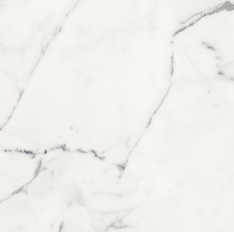 Origines Blanc Matte 24 x 24