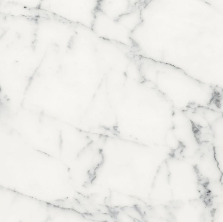 Origines Blanc Matte 24 x 24