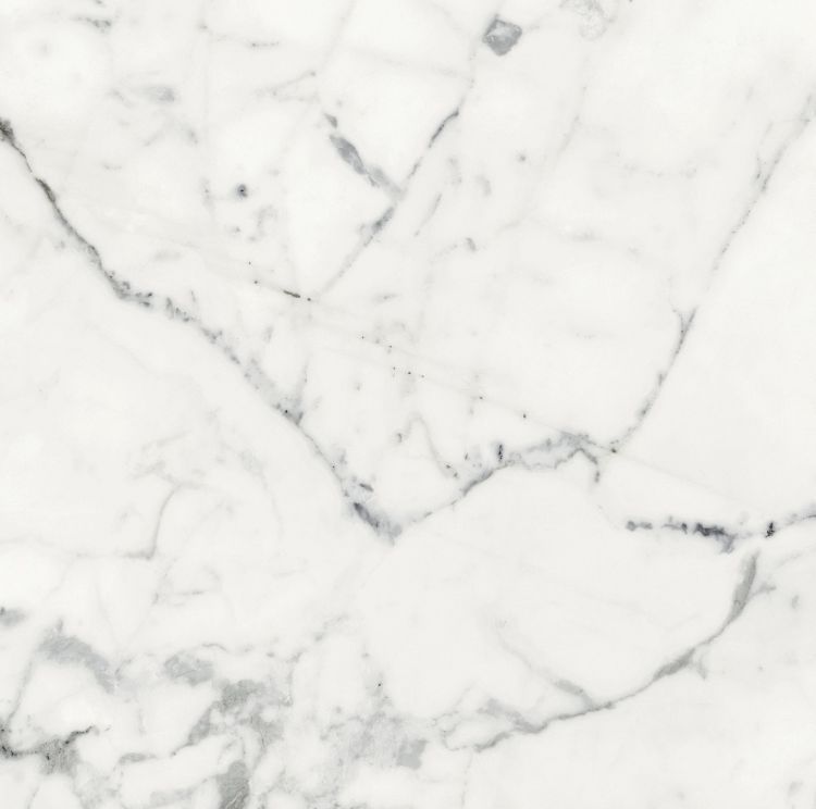 Origines Blanc Matte 24 x 24