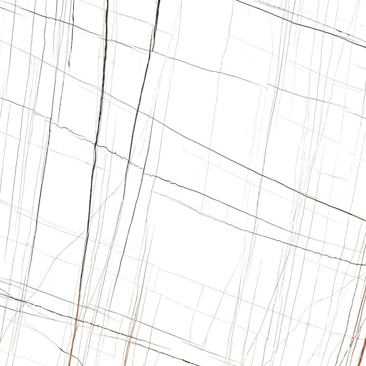 Noir White Polished 48 x 48