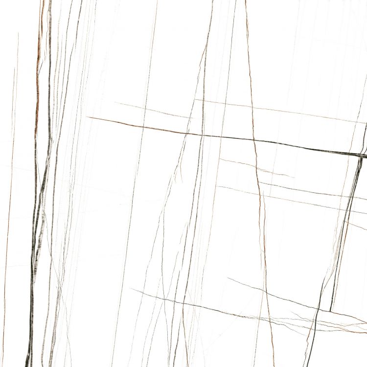 Noir White Polished 48 x 48