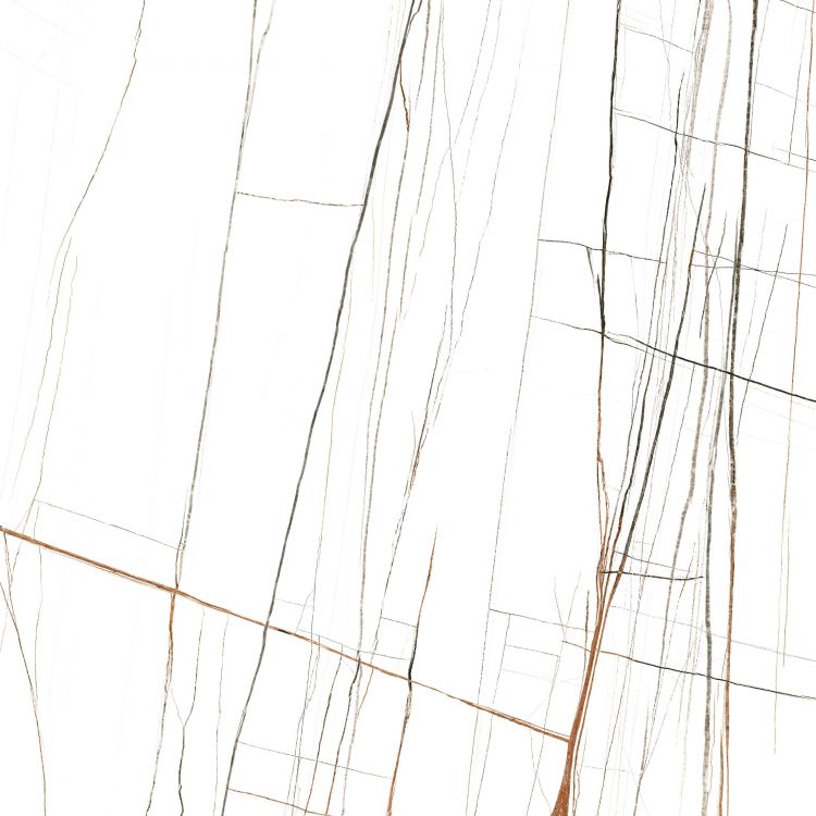 Noir White Polished 48 x 48