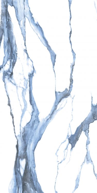 Calacatta Blue Matte 24 x 48