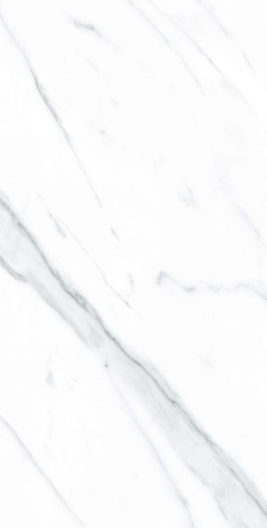 AGL Carrara Polished 12 x 24