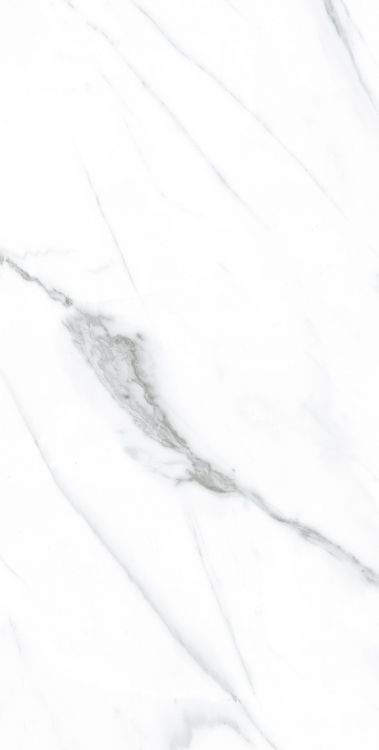 AGL Carrara Polished 12 x 24