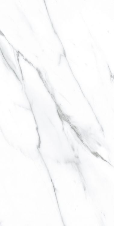 AGL Carrara Polished 12 x 24
