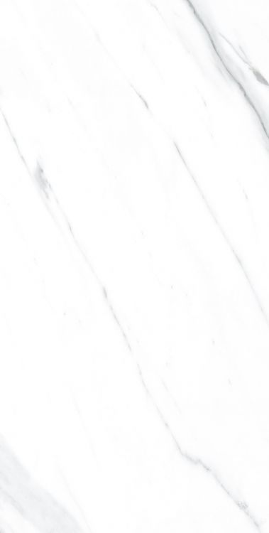 AGL Carrara Polished 12 x 24