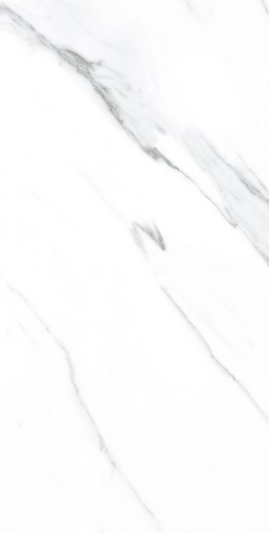 AGL Carrara Polished 12 x 24