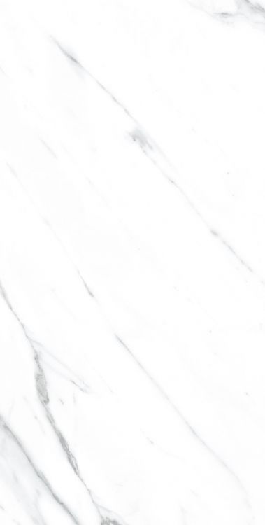 AGL Carrara Polished 12 x 24