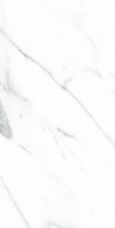 AGL Carrara Polished 12 x 24