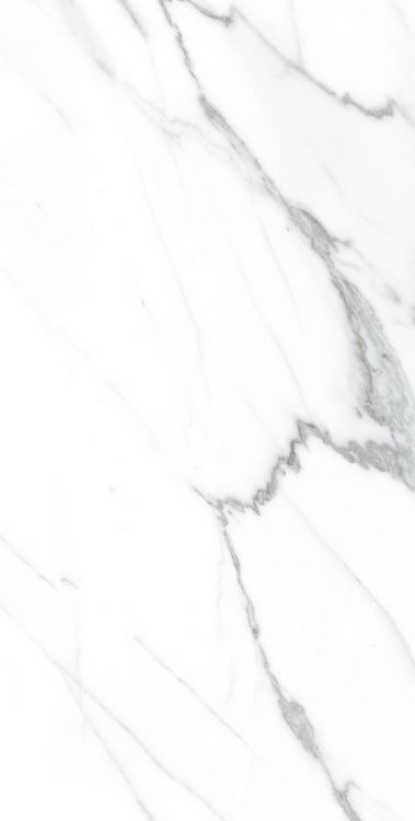 AGL Carrara Polished 12 x 24