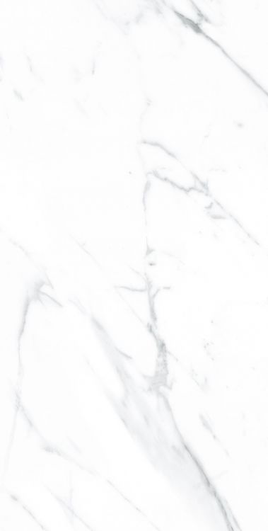 AGL Carrara Polished 12 x 24