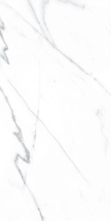AGL Carrara Polished 12 x 24
