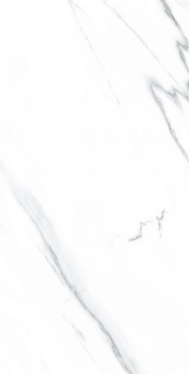 AGL Carrara Polished 12 x 24