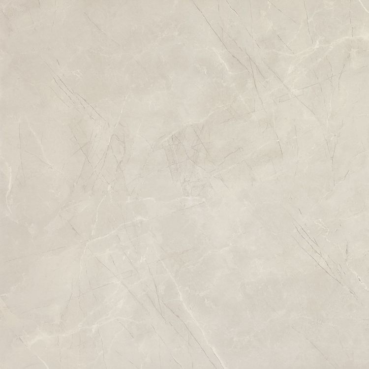 NG Pulpis Prime Light Grey Polished 48 x 48