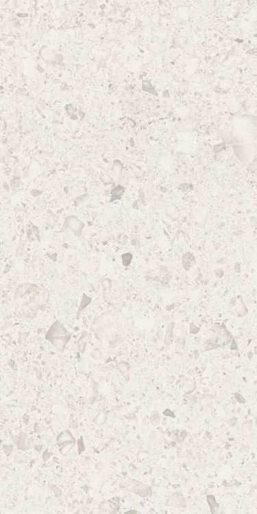 Orobica Bianca Matte 24 x 48