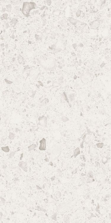 Orobica Bianca Matte 24 x 48