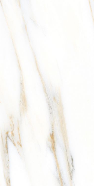 AGL Calacatta Gold Matte 12 x 24