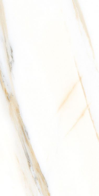 AGL Calacatta Gold Matte 12 x 24