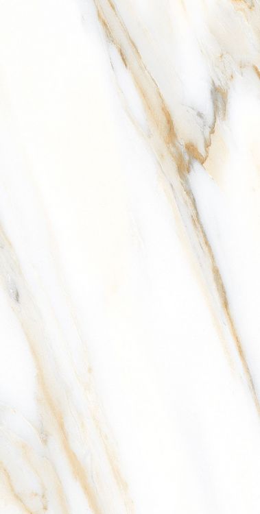 AGL Calacatta Gold Matte 12 x 24
