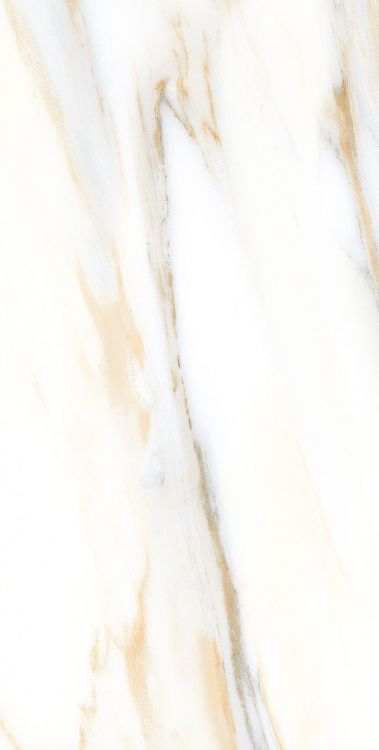 AGL Calacatta Gold Matte 12 x 24