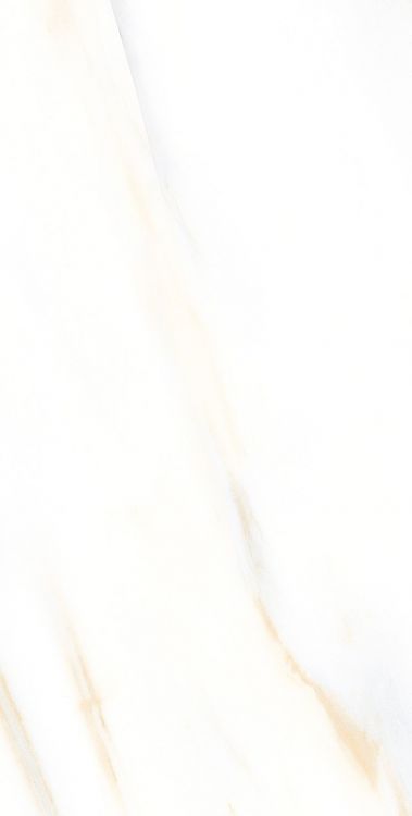 AGL Calacatta Gold Matte 12 x 24