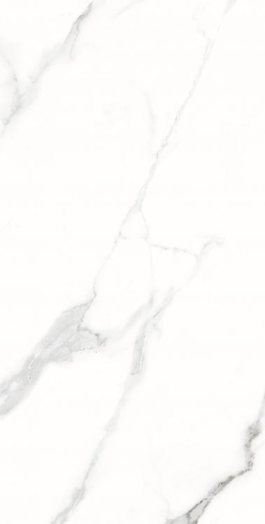 AGL Statuario Matte 12 x 24