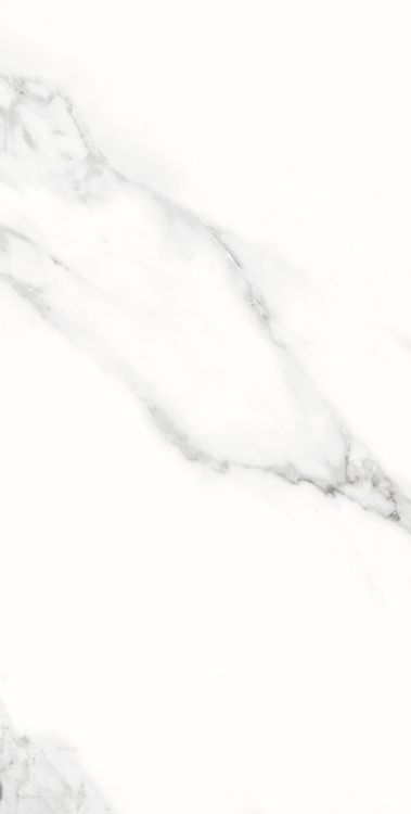 AGL Statuario Matte 12 x 24